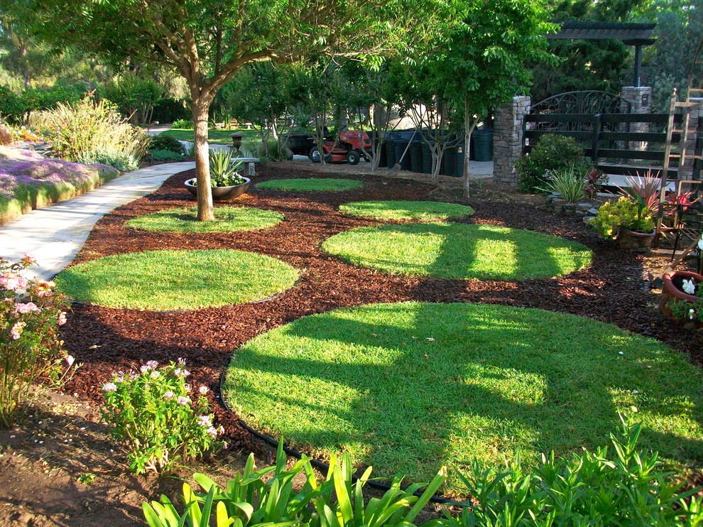 Photo of a contemporary garden in San Diego with mulch and with lawn edging.