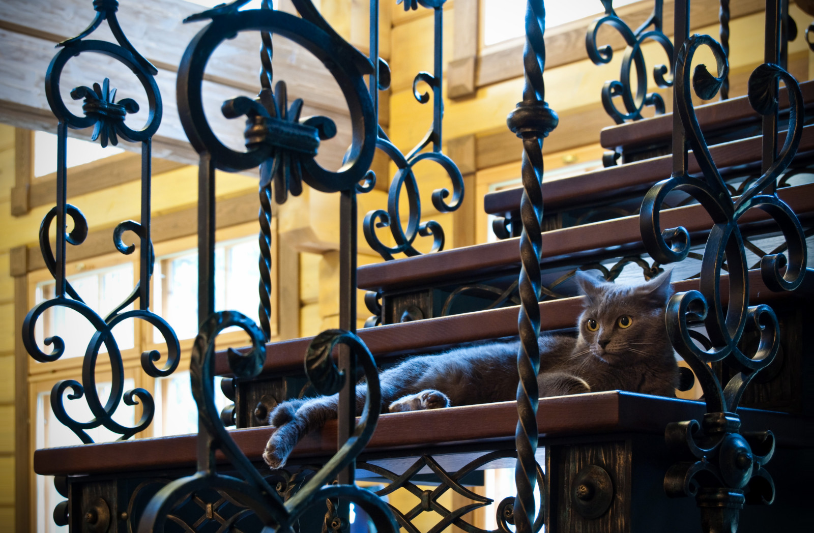 Частный деревянный дом. В соавторстве с Анастасией Гавриловой.