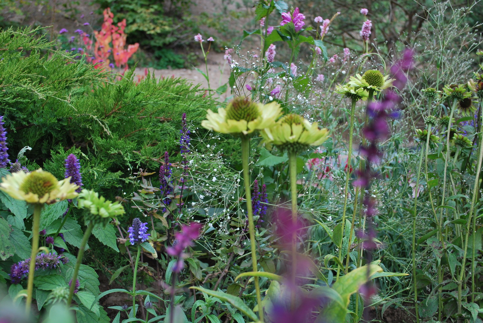 Сад натуралистического стиля