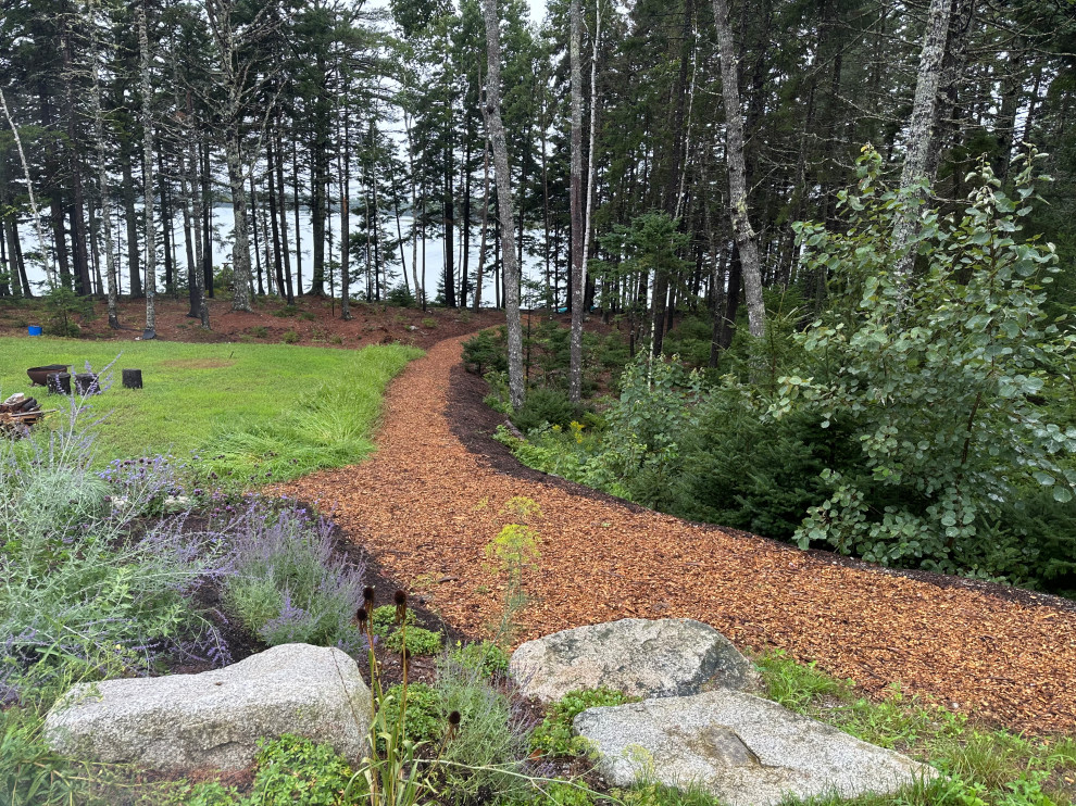 New Backyard Landscape