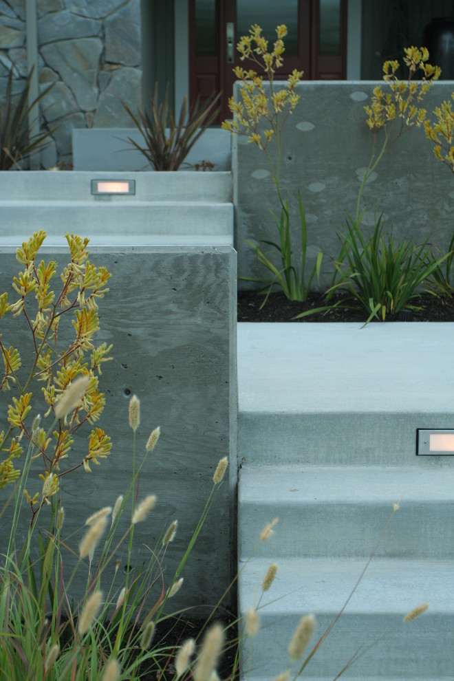 Photo of a contemporary front yard garden in San Francisco with a retaining wall.