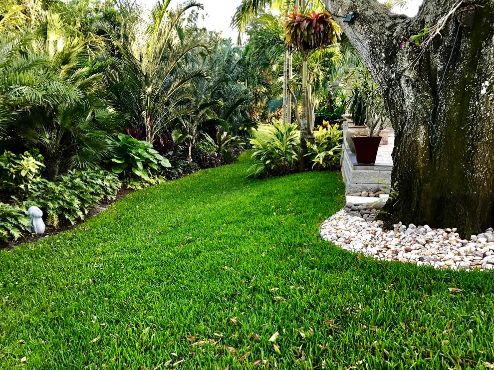 Backyard Pool Buffer - Tropical - Landscape - Orlando - by ...