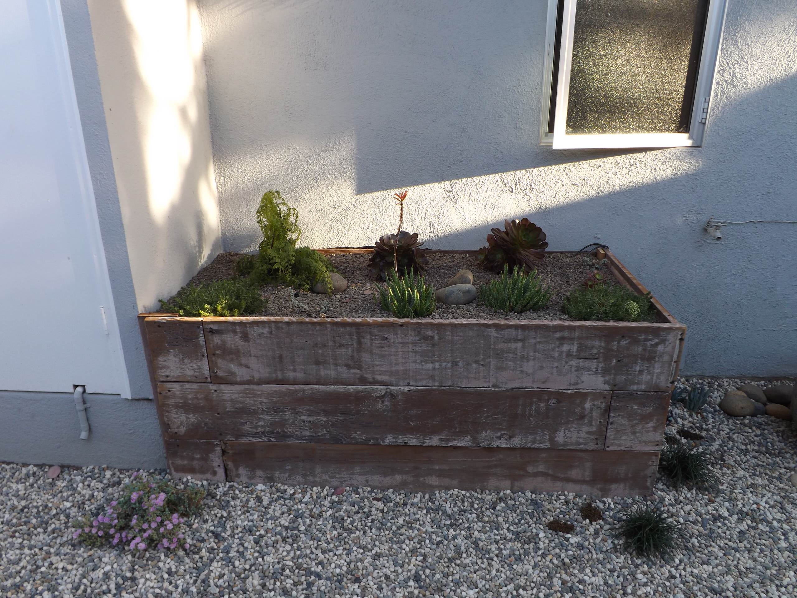 Saratoga side yard