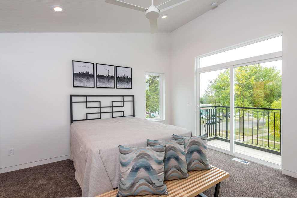 Photo of a mid-sized modern master bedroom in Other with white walls, carpet and no fireplace.
