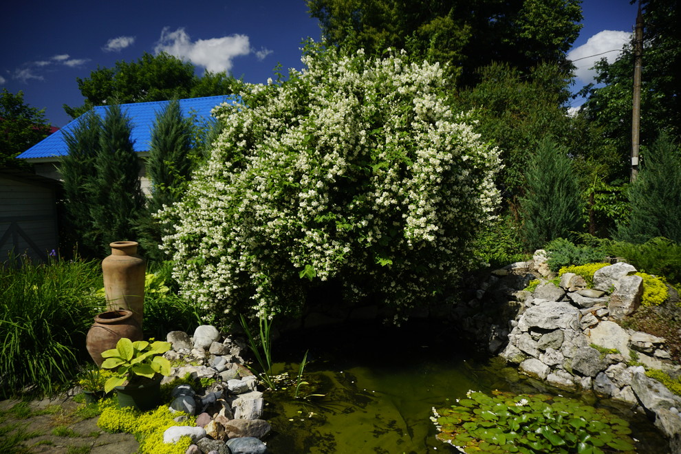 Ландшафтный дизайн