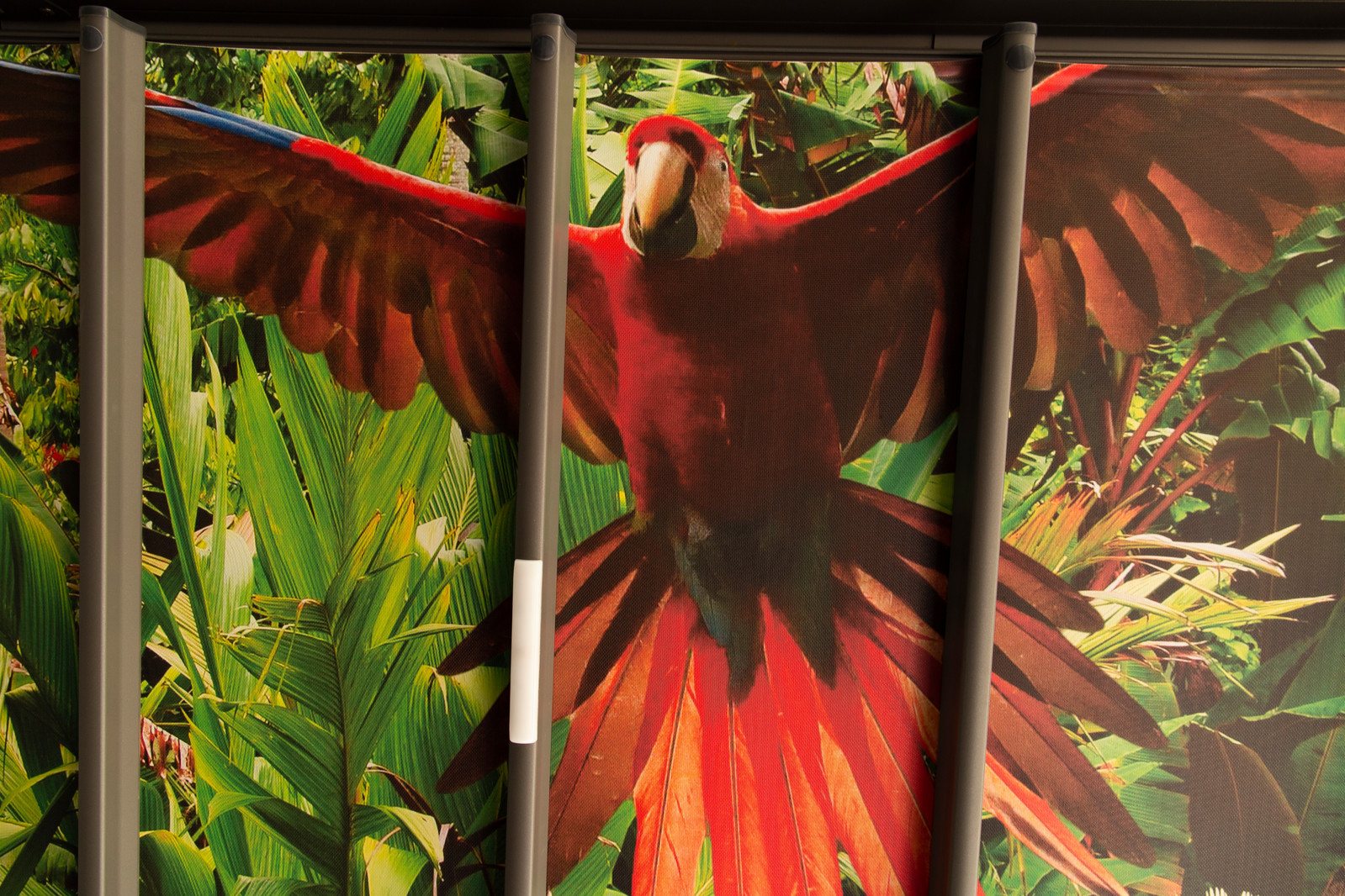 Пергола для ресторана "Марфа"