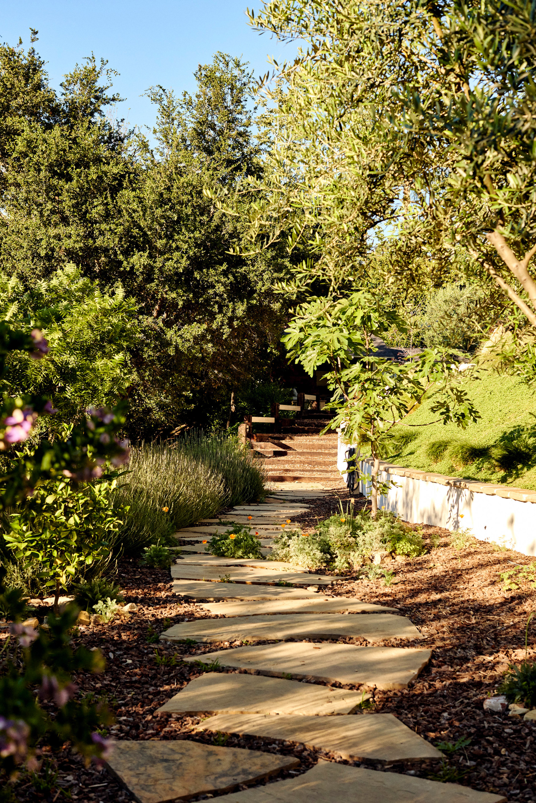 Blairwood Drive