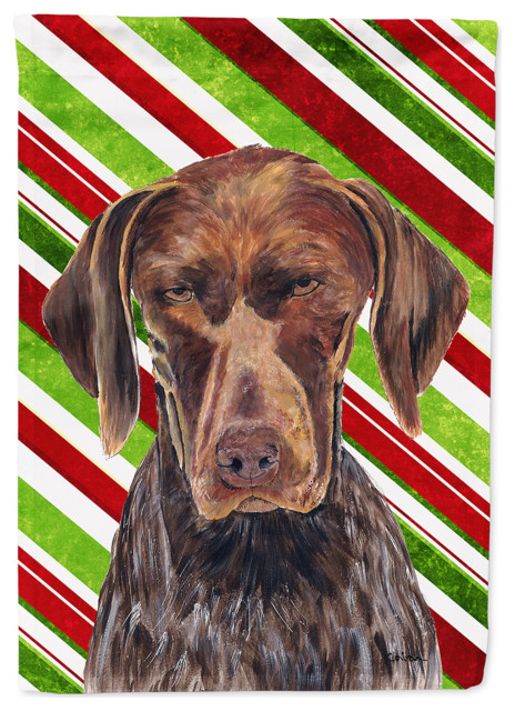 Sc9355Gf German Shorthaired Pointer Candy Cane Holiday Christmas Flag