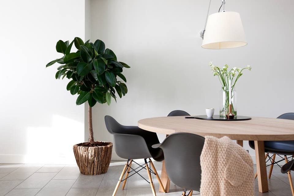 Design ideas for a scandinavian dining room in Amsterdam.
