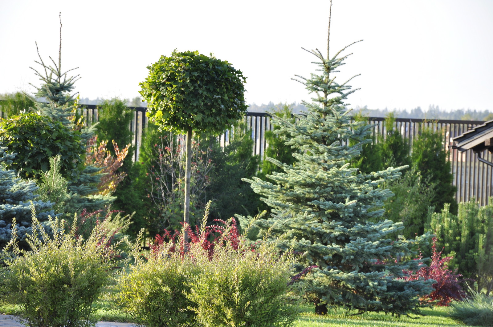 кп "Папушево" - Профессиональный уход за садом - 100% качество!