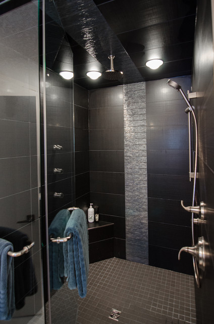 Master Bath Shower contemporary-bathroom