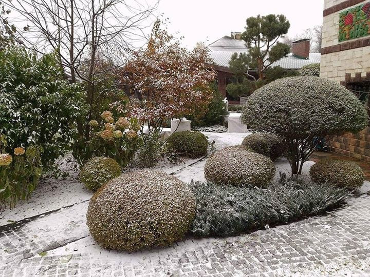 Сенькино московская обл