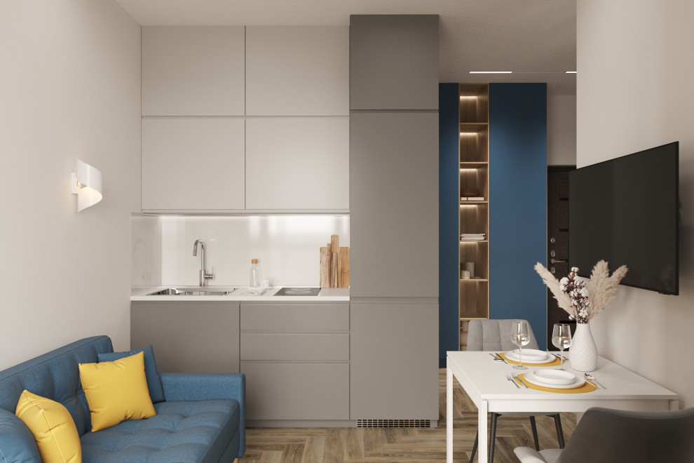 Проект 1-к квартиры 26м2