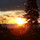 barry_george