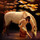 caitlin_johnson27