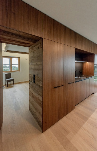 Black Walnut contemporary-kitchen