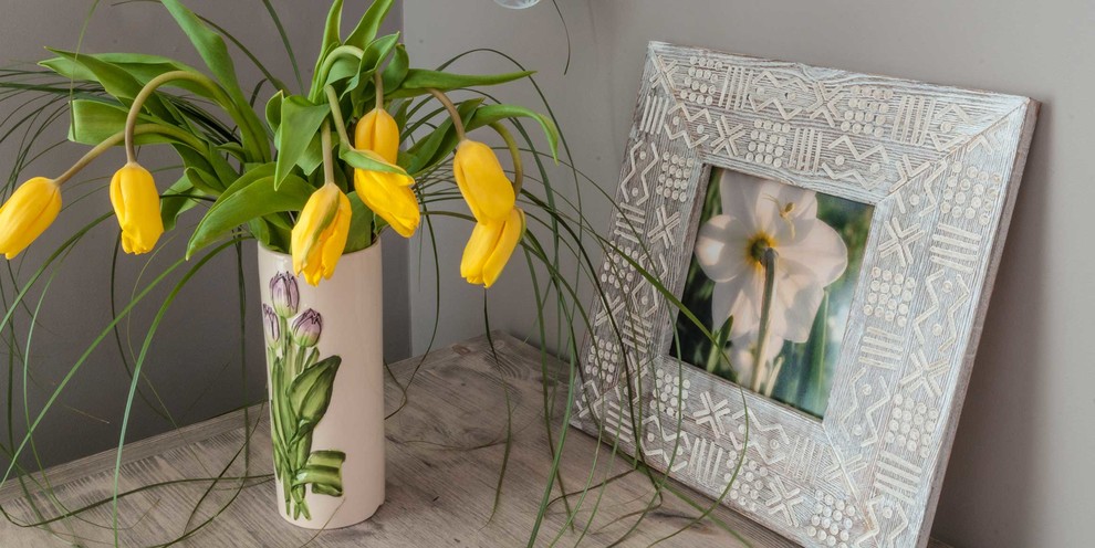 Программа Фазенда