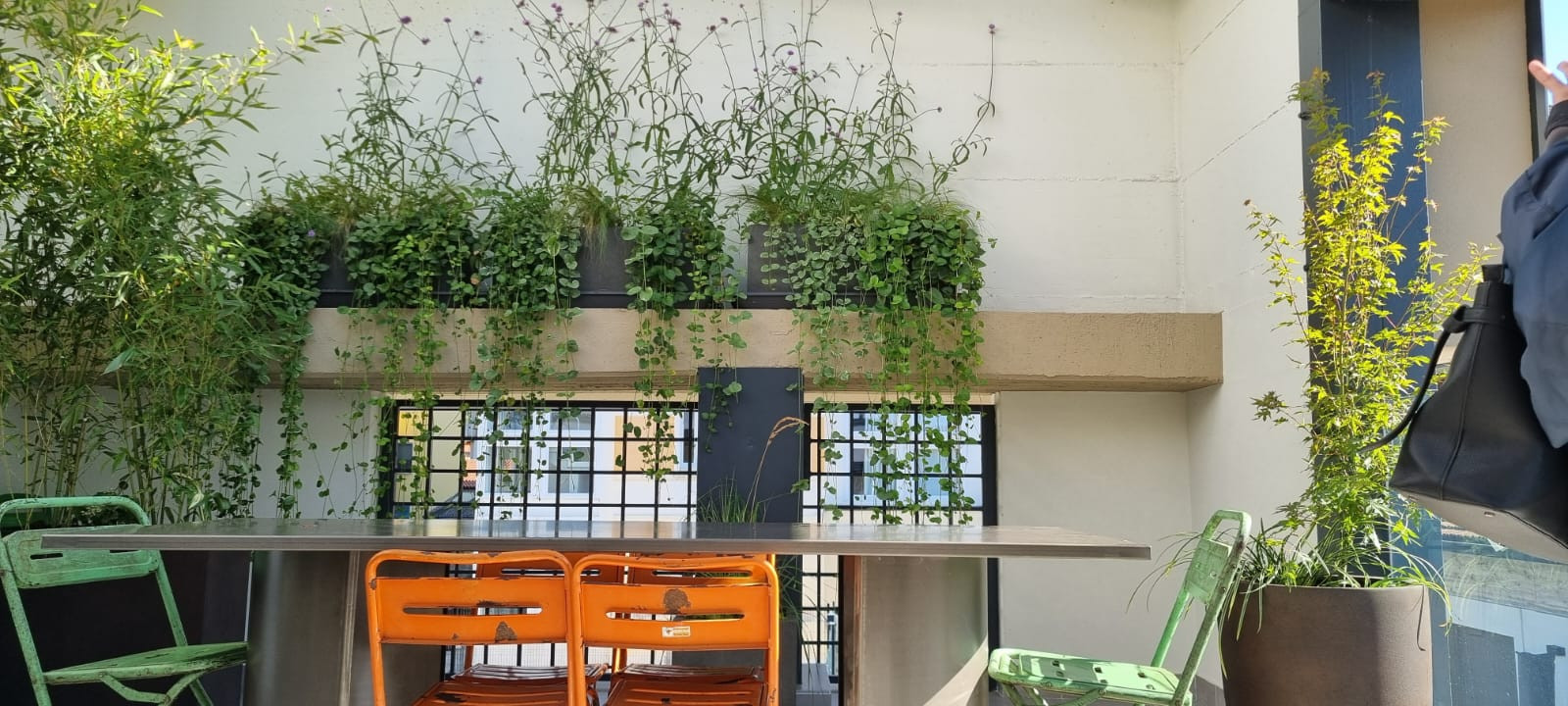 Realizzazione Wild in the city