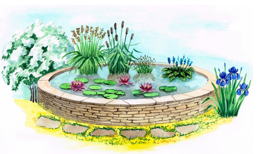 Ландшафтный дизайн