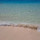 webuser_112615107