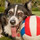maggie_anderson42
