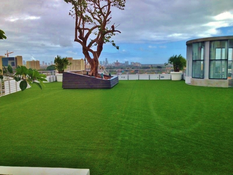 Large modern rooftop full sun formal garden in Miami.