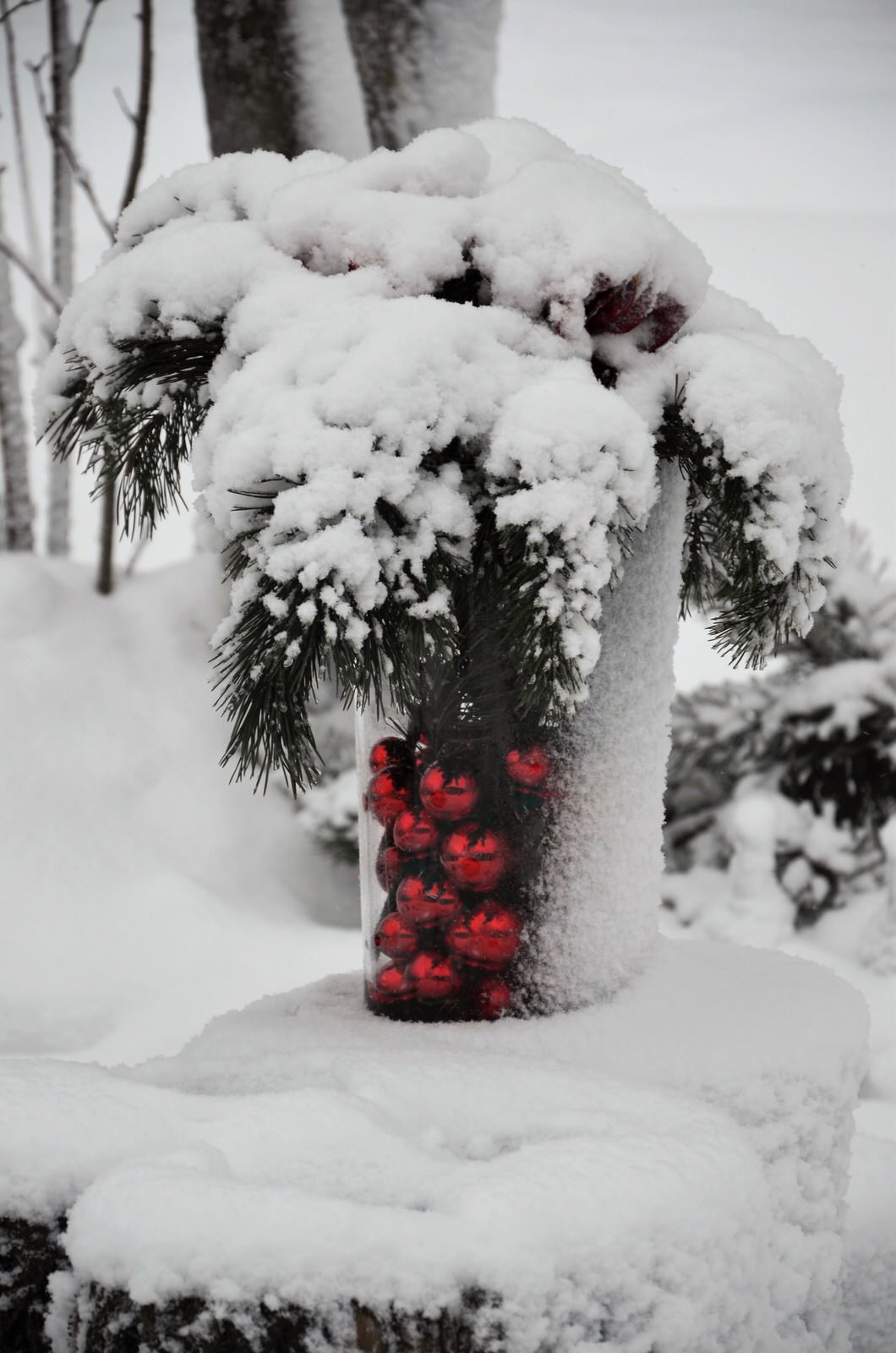 Садовый участок - новый год