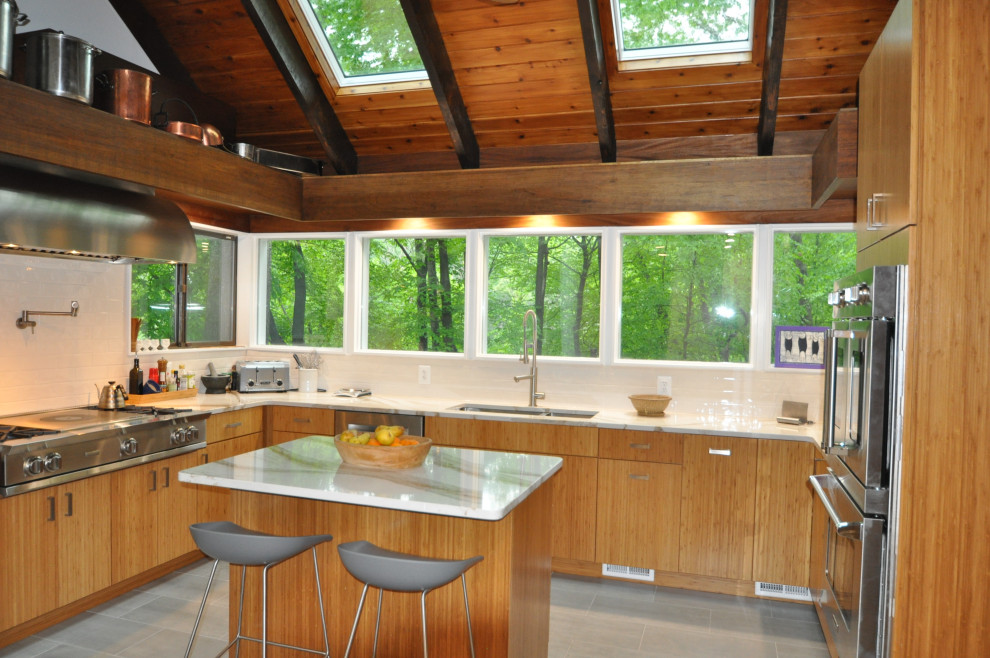 Kitchen - transitional kitchen idea in Baltimore