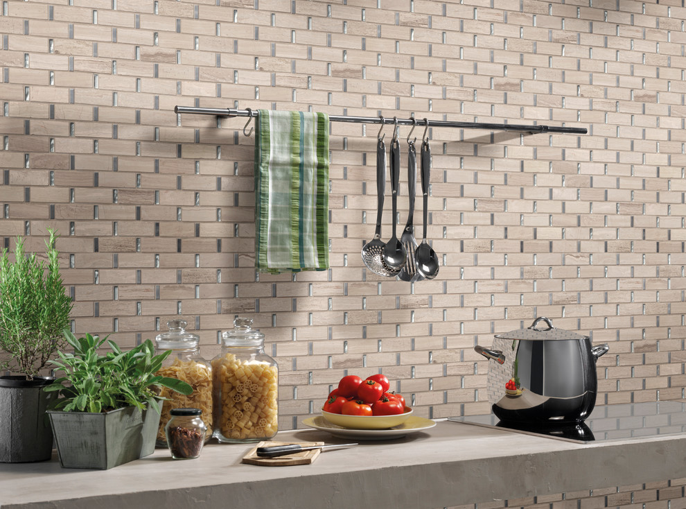 Kitchen - transitional kitchen idea in Orange County
