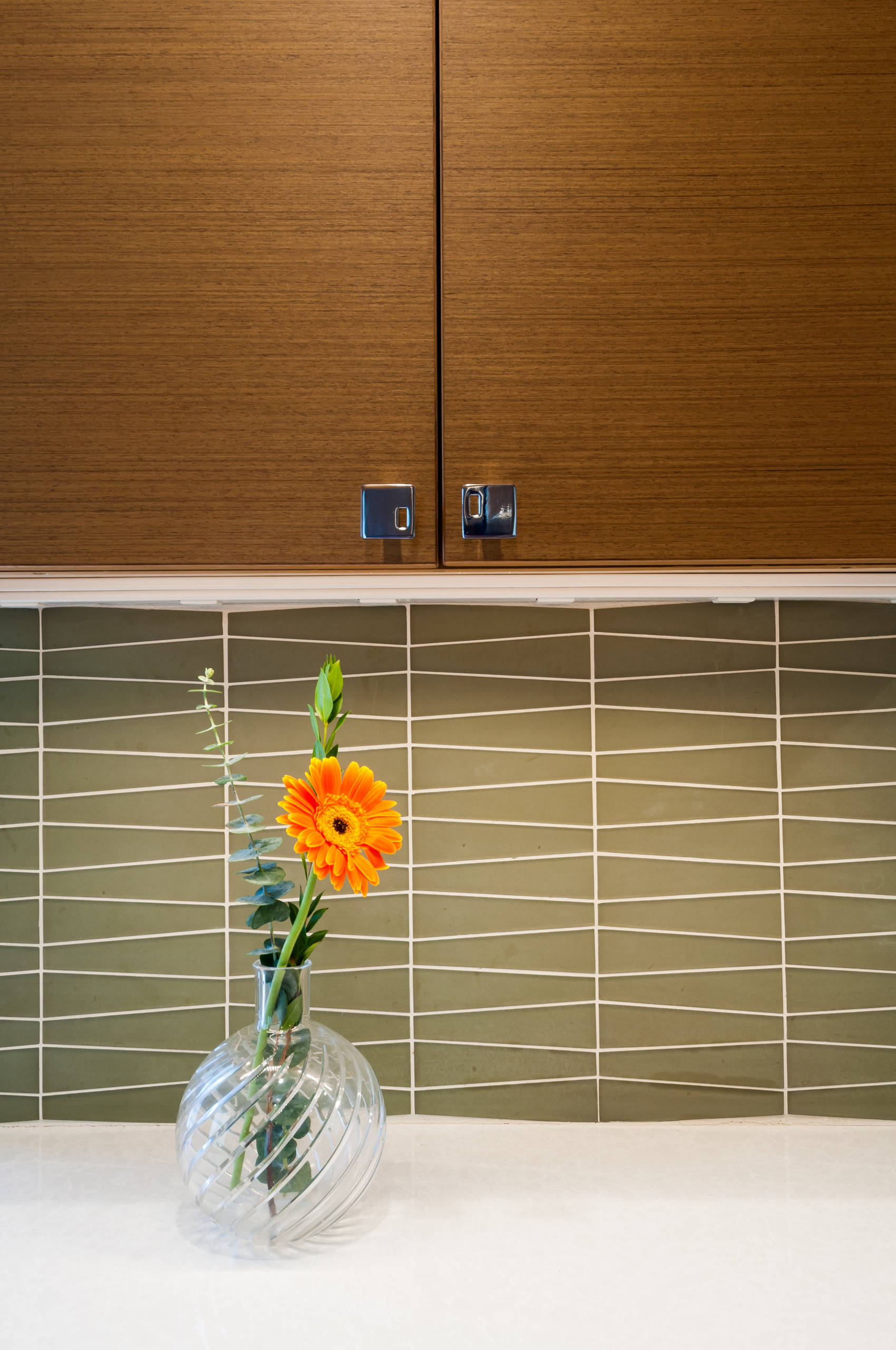 Mid-century Modern Home