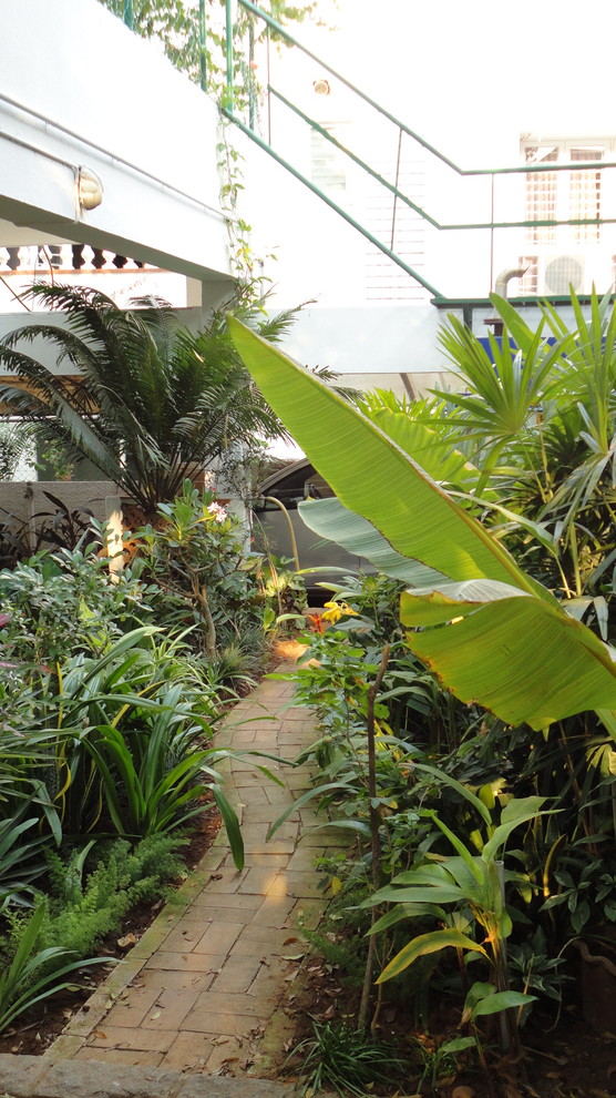 This is an example of a tropical garden in Chennai.