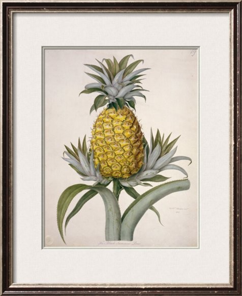 Koeper Powder Room Remodel