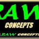 Raw Concepts