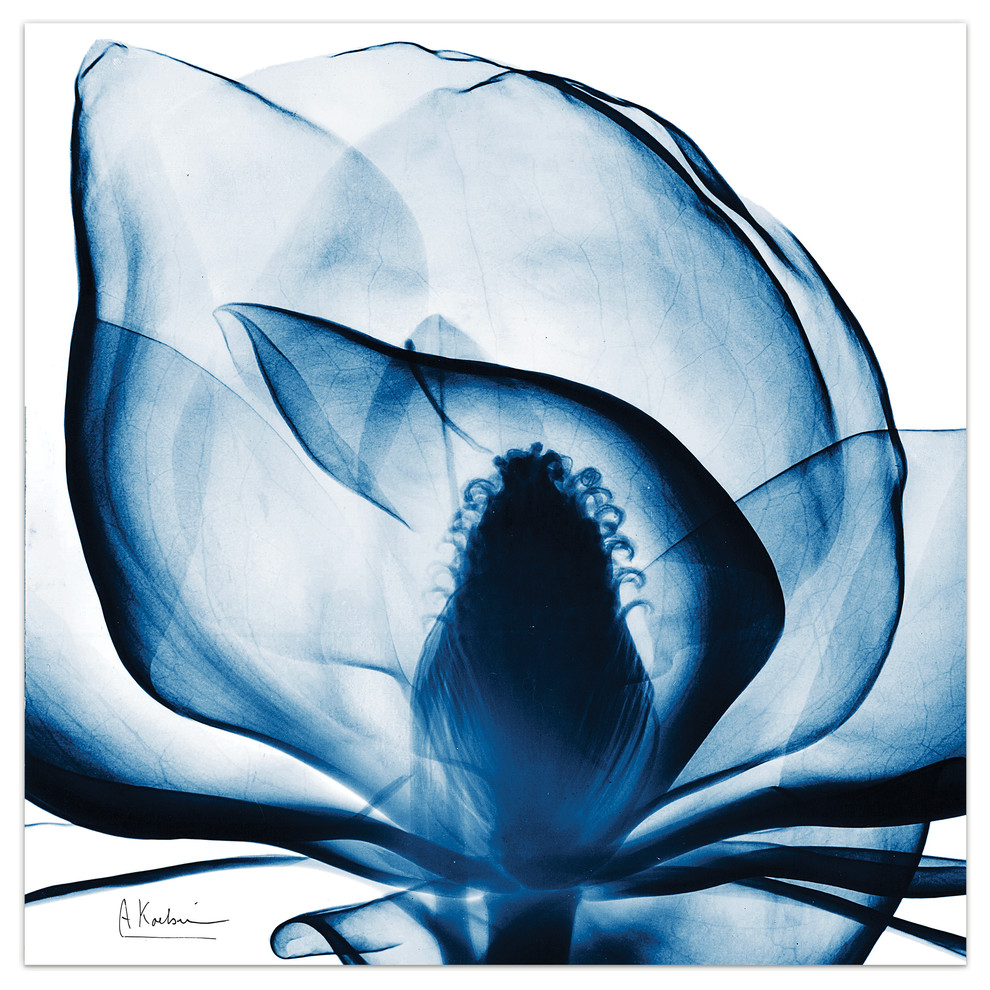Blue Magnolia XRay Flower Wall Art Frameless Free Floating Tempered
