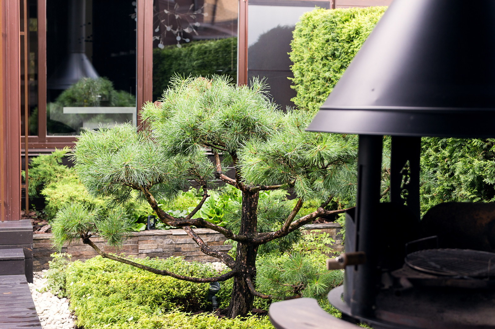 Фотосъёмка сада (к/п Светлогорье)