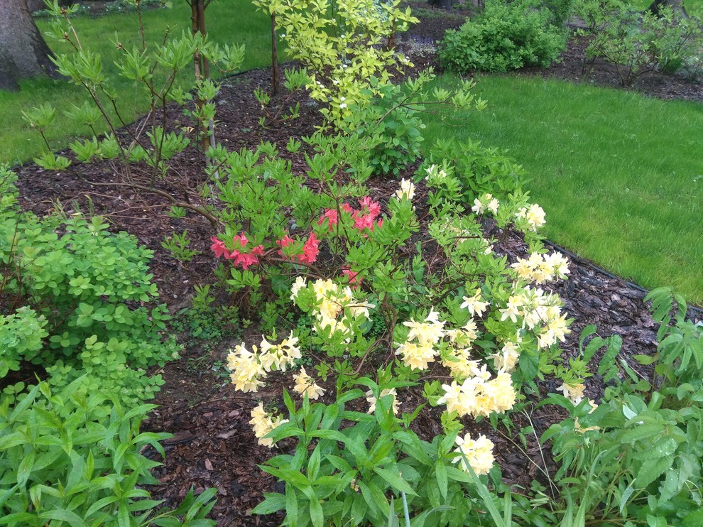 КП Лесная бухта, д. Лечищево, Новорижское ш., МО