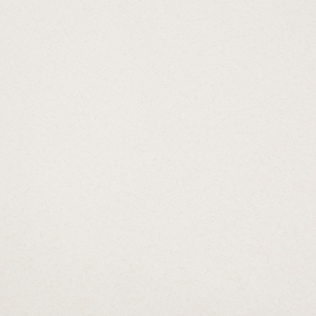 White Single Color Stucco A Hit Wallpaper