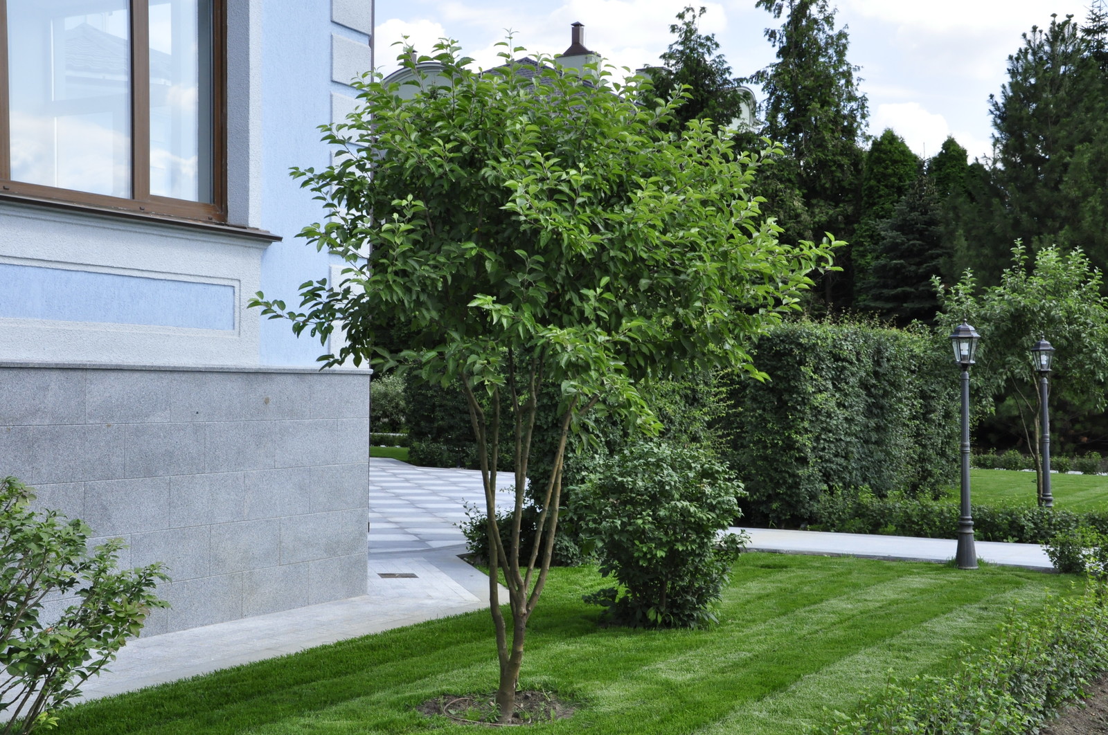 кп "Усово" - Уход за садом - 100% качество