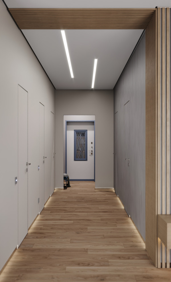 Современный сканди