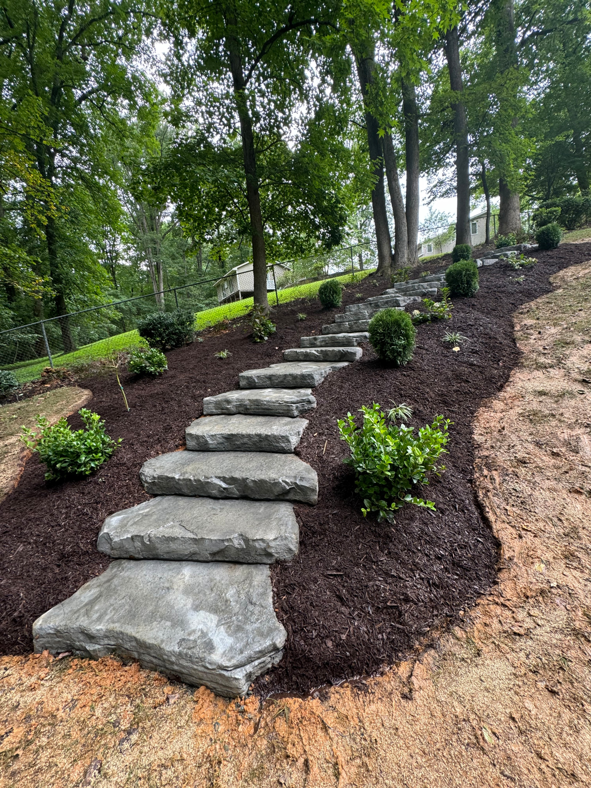 Our Work
