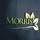 Morris Lawn Care & Services