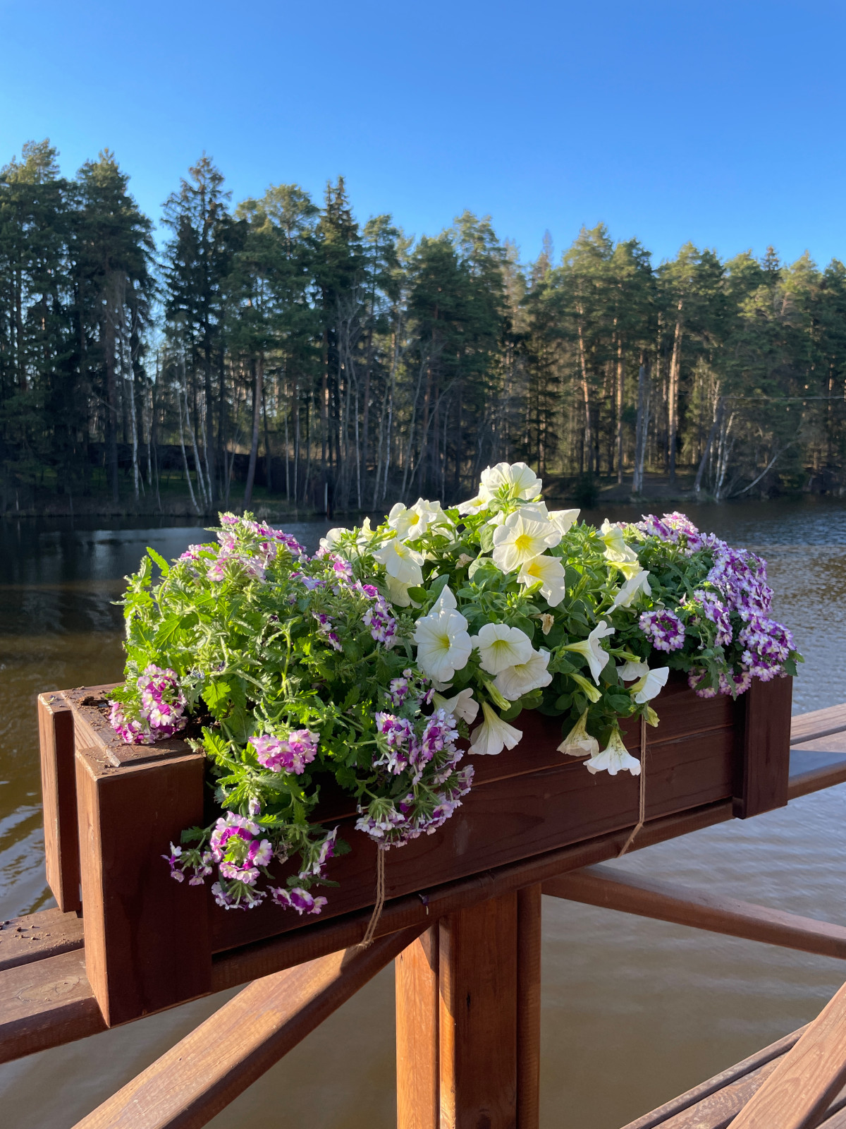 Ресторан "Fish Point"