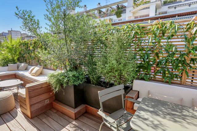 Olivier de la terrasse trendy-terrasse