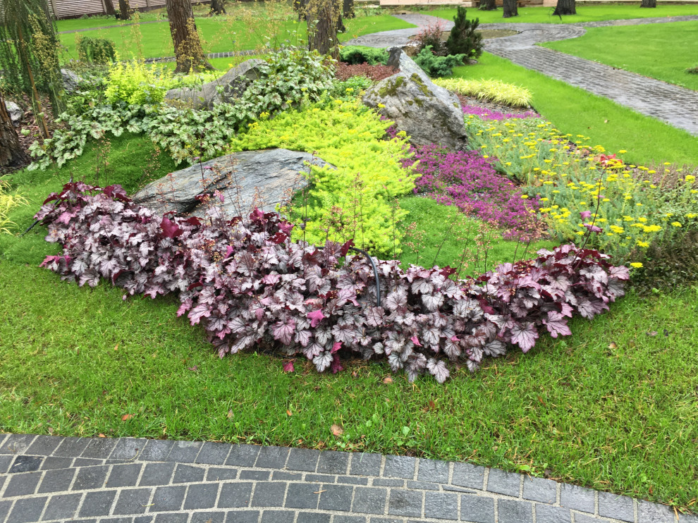 В тени вековых сосен