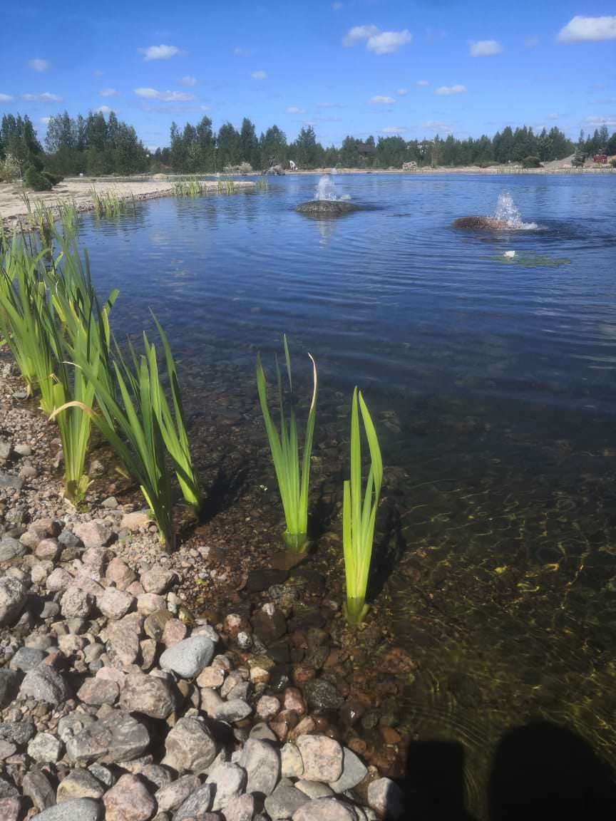 Декоративный водоём в п. Репино (Лен. обл.)