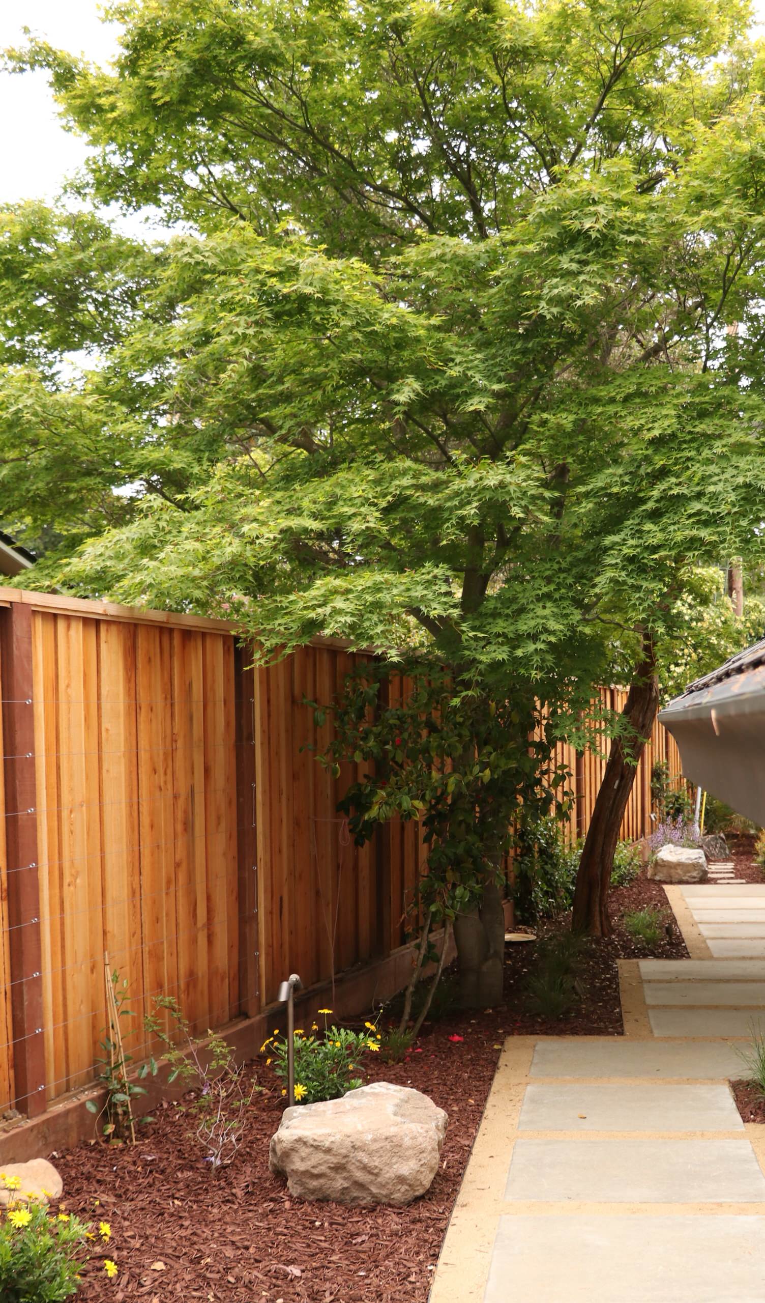 MODERN, MODERN, MODERN