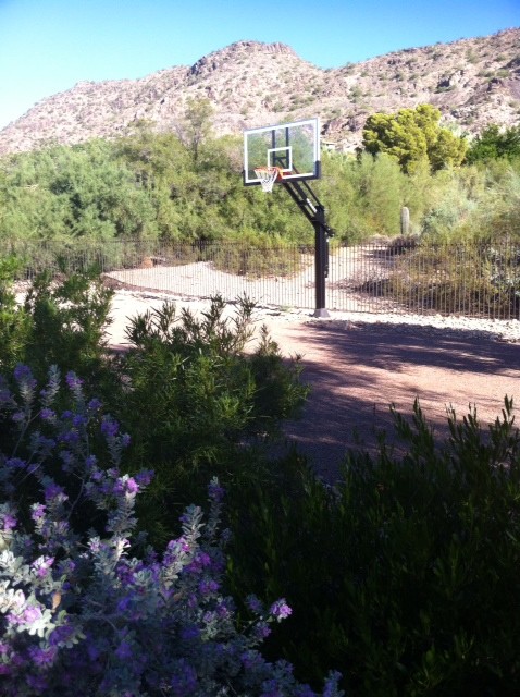 Design ideas for a large traditional backyard partial sun outdoor sport court in Phoenix.