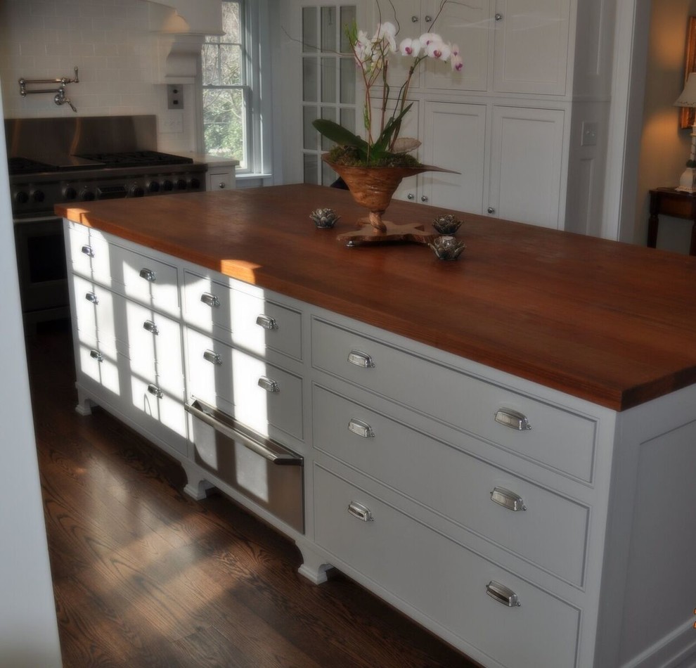 Kitchen - transitional kitchen idea in Orange County