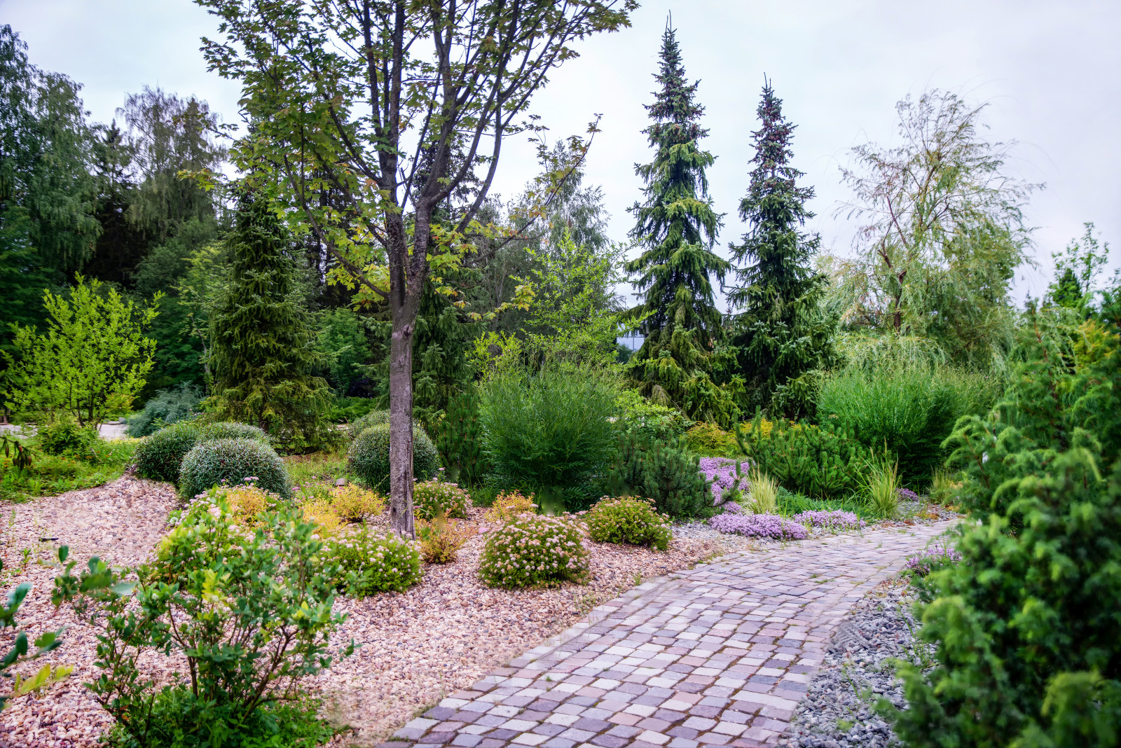 Лесное озеро