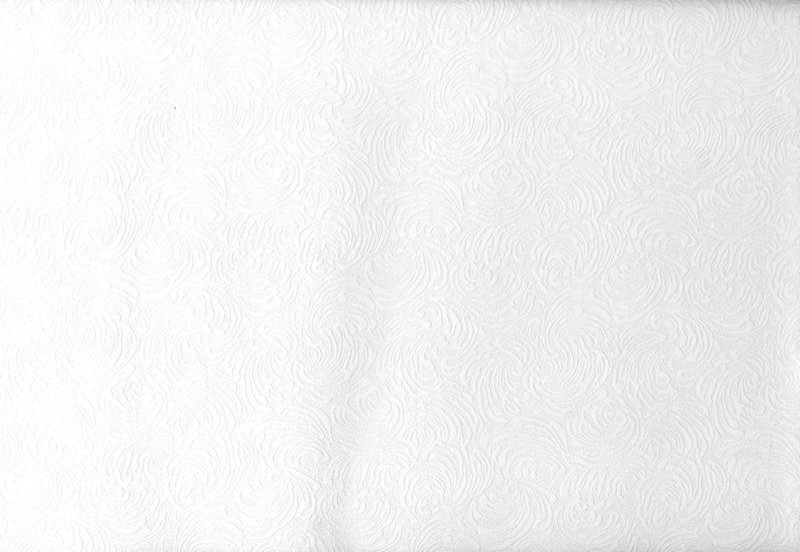 Paintable Solutions IV by Brewster 49759004 Cockle Swirling Shell